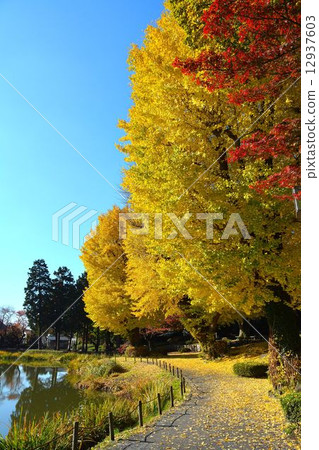 Temple of death in autumn 12937603