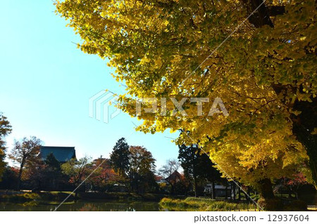 Temple of death in autumn 12937604