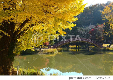 死亡寺廟在秋天 12937606