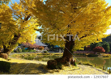 Temple of death in autumn Temple of death in autumn 12937607