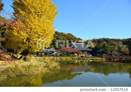 Temple of death in autumn 12937610