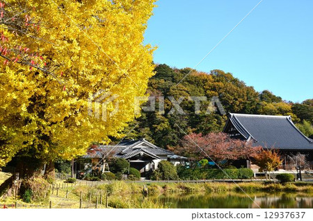 Temple of death in autumn Temple of death in autumn 12937637