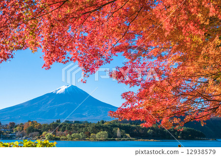 富士山在秋天 12938579