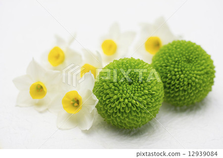 水仙花和菊花 12939084