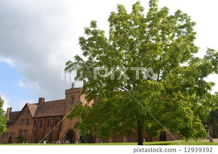 Hatfield House Hatfield House 12939392