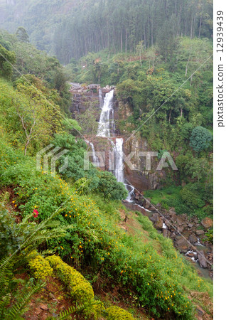 The waterfall and green landscape, Nuwara Eliya Sri Lanka 12939439