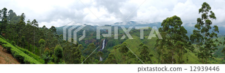 The panorama of tea plantations and waterfall in Nuwara Eliya, S 12939446