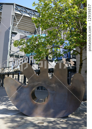 美國西雅圖SAFETECERFIELD 12939857