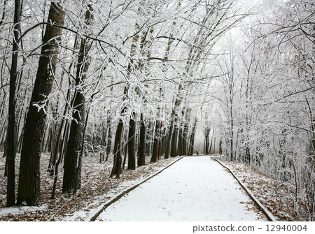 Walkway in snowy city park Walkway in snowy city park 12940004