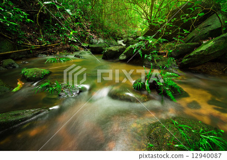 Creek, brook Creek, brook 12940087