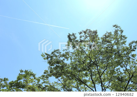 飛機雲 12940682