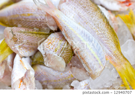 Ornate Threadfin Bream fish with ice. Ornate Threadfin Bream fish with ice. 12940707