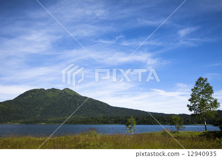 Walking on Ozenuma 12940935