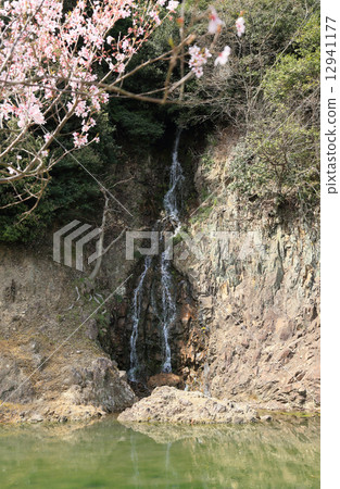 "Rurin Park" Walled waterfall and cherry blossoms "Rurin Park" Walled waterfall and cherry blossoms 12941177