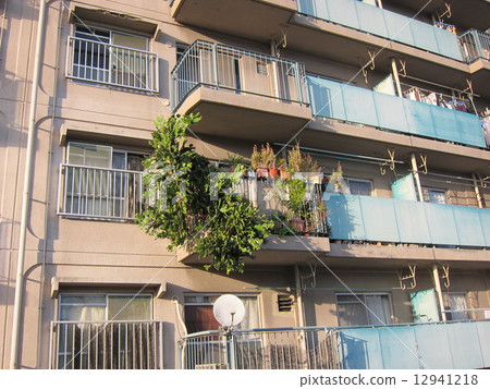 Veranda gardening 12941218