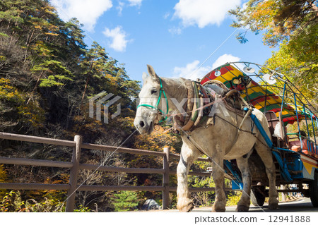 Otake Rikousen Gobain馬車 12941888