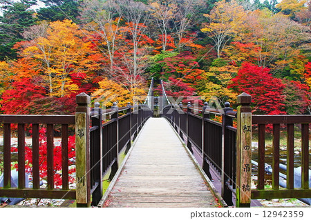 Scarlet suspension bridge Scarlet suspension bridge 12942359