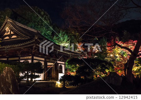 Kodai-ji colored leaves light up Kodai-ji colored leaves light up 12942415