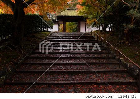 Autumn leaves of Anzenji 12942425