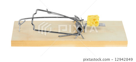 mousetrap with cheese mousetrap with cheese 12942849