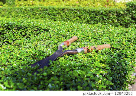 Pruning Shear. 12943295