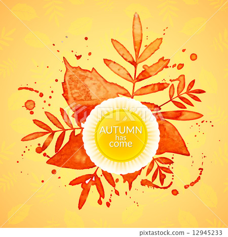 Autumn watercolor rowan leaves and spray, vector illustration 12945233