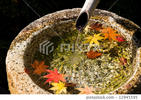 Autumn leaves (yellow leaves) image Autumn leaves (yellow leaves) image 12945595