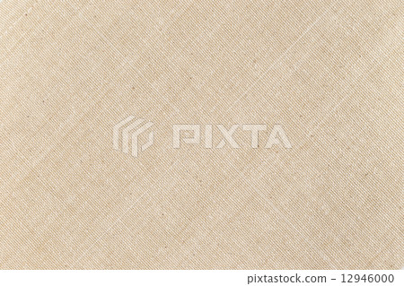 Fabric Fabric 12946000