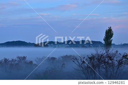 我的Numata Rice·在黎明晨霧之前 12946281