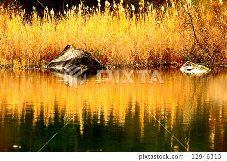 自然，Goshikinuma 12946313