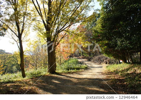 秋山 秋山 12946464