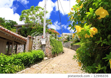 八月沖繩Kinjocho石鋪成的道路 12946836