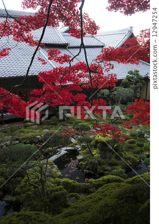 Autumn scenery Nara Temple 12947254