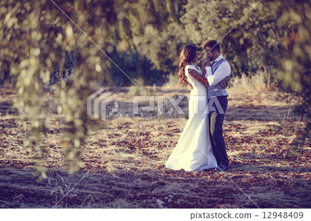 Just married couple in nature background 12948409