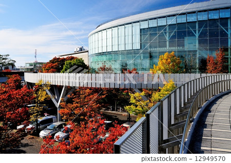 新潟市民藝術文化中心和秋葉 12949570