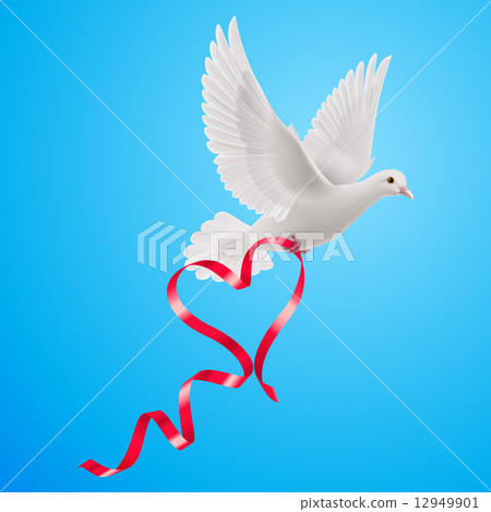 Dove 12949901