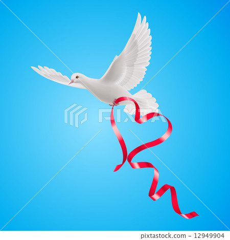 Dove 12949904