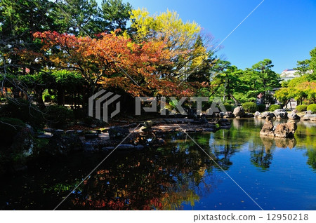 Hakusan park autumn 12950218