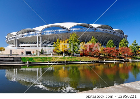 Big Swan fall 12950221