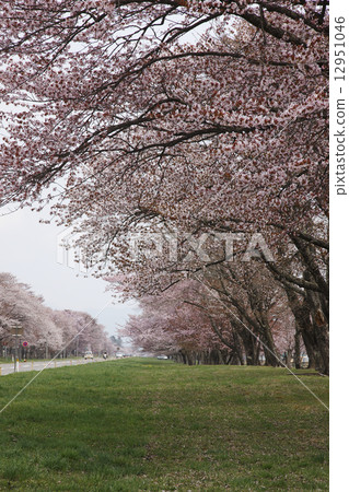 Twenty-way road Twenty-way road 12951046