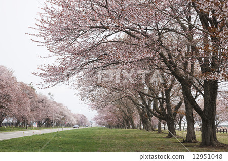 Twenty-way road Twenty-way road 12951048