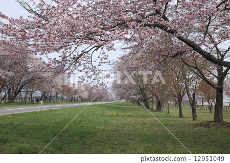 Twenty-way road Twenty-way road 12951049