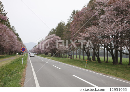 二十路 12951063