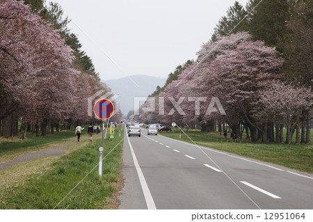 Twenty-way road Twenty-way road 12951064