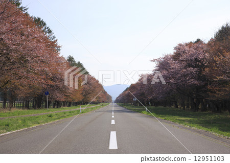 Twenty-way road 12951103