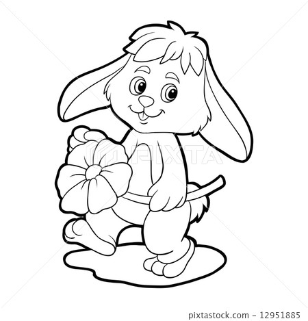 Download Coloring Book Rabbit Stock Illustration 12951885 Pixta