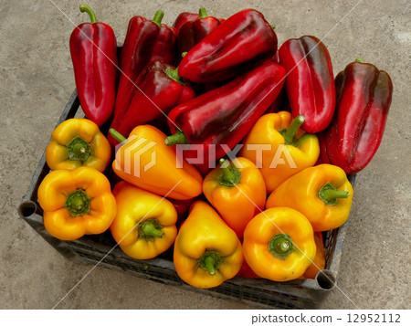 red and yellow peppers red and yellow peppers 12952112