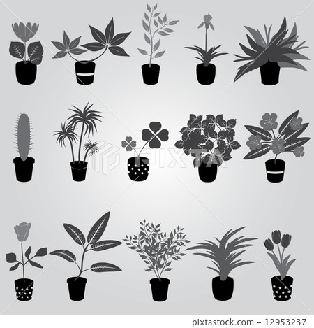 home houseplants and flowers in pot grayscale eps10 12953237