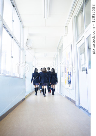 High school students walking in the hallway 12953588