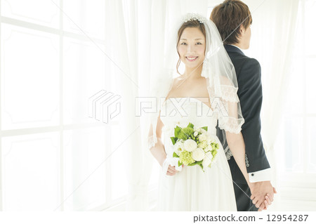 握手的新娘和新郎 12954287